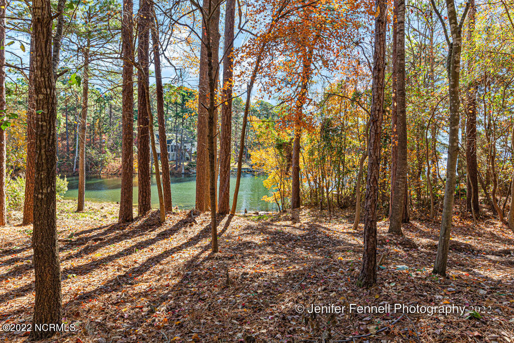 111 Owens Circle West End, NC 27376 - Photo 3 of 33 Standing on the lot