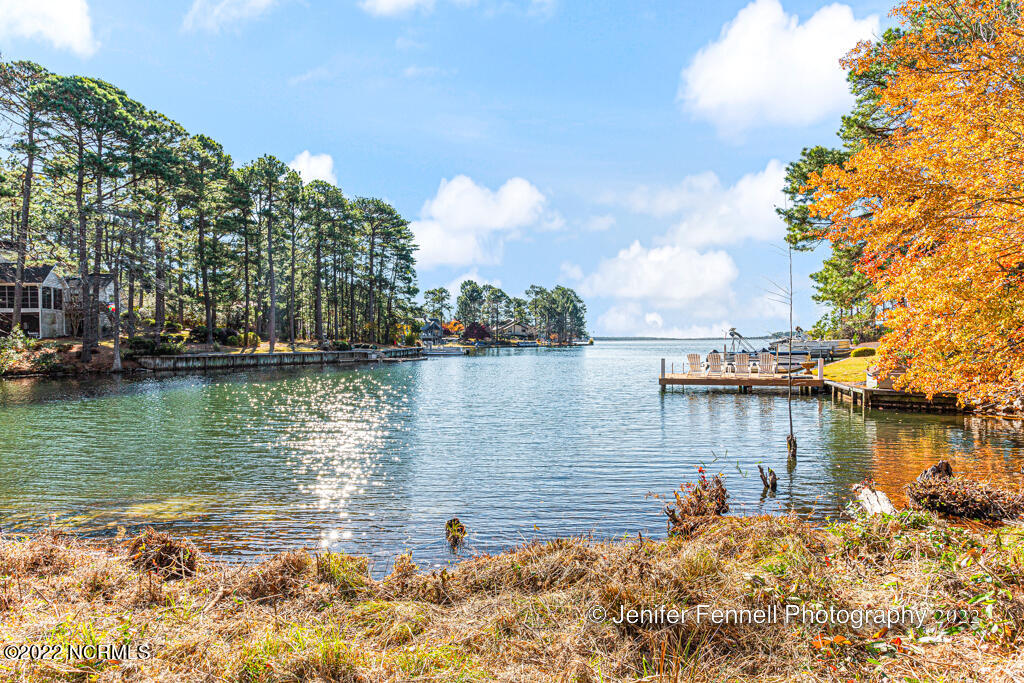 111 Owens Circle West End, NC 27376 - Photo 4 of 33 Standing on the lot