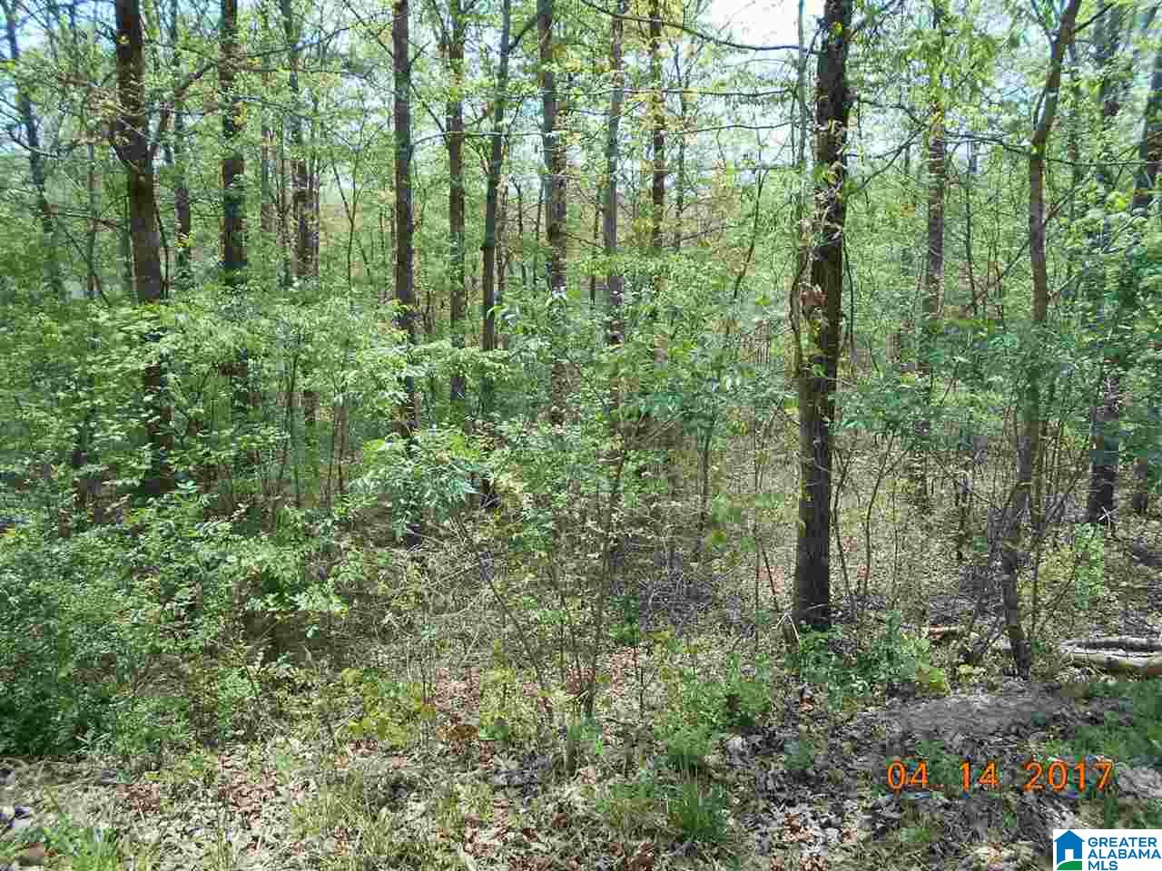 278 County Road Tallassee, AL 36078 - Photo 6 of 8