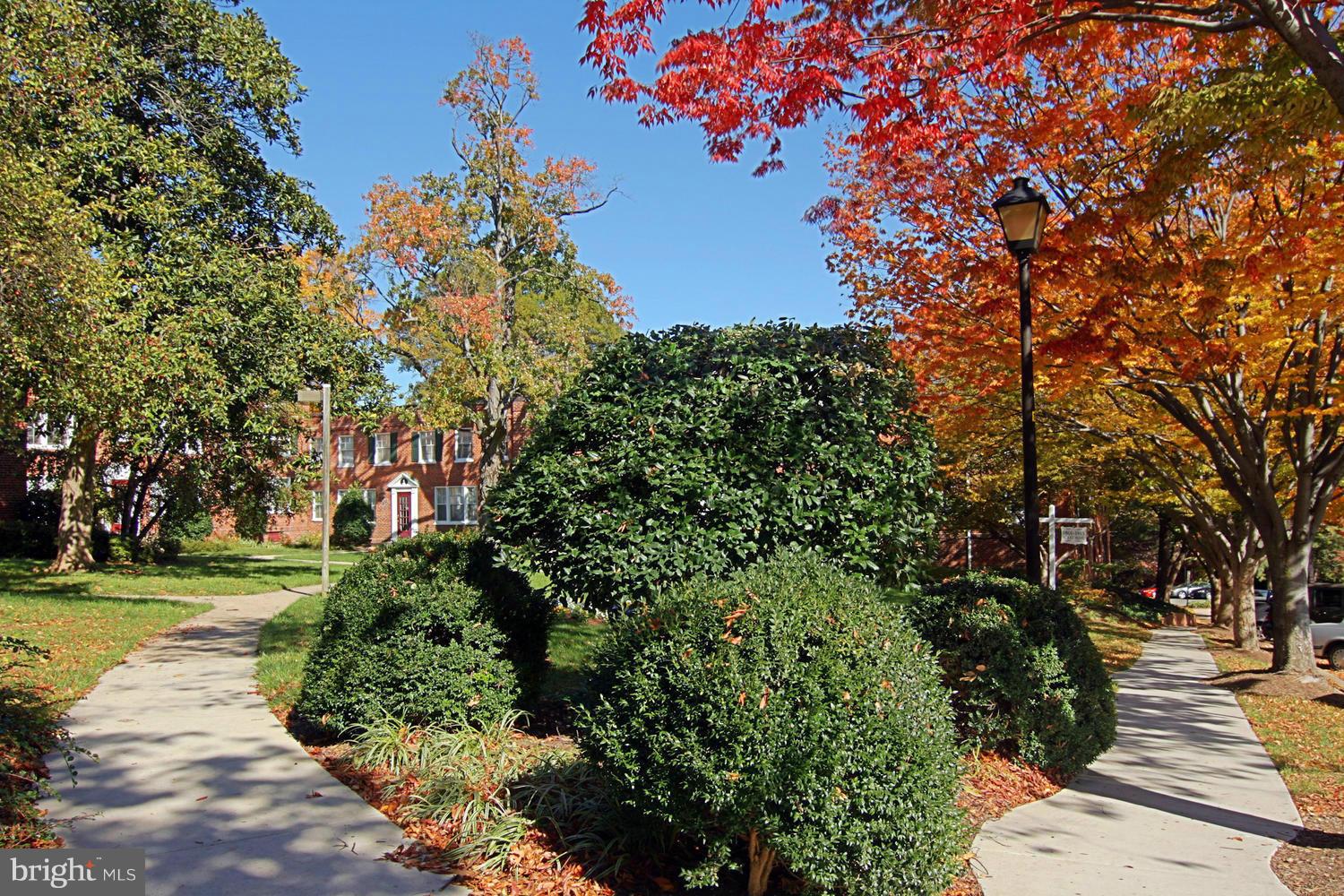 1906 North Rhodes Street, Unit 51 Arlington, VA 22201 - Photo 18 of 23 Community