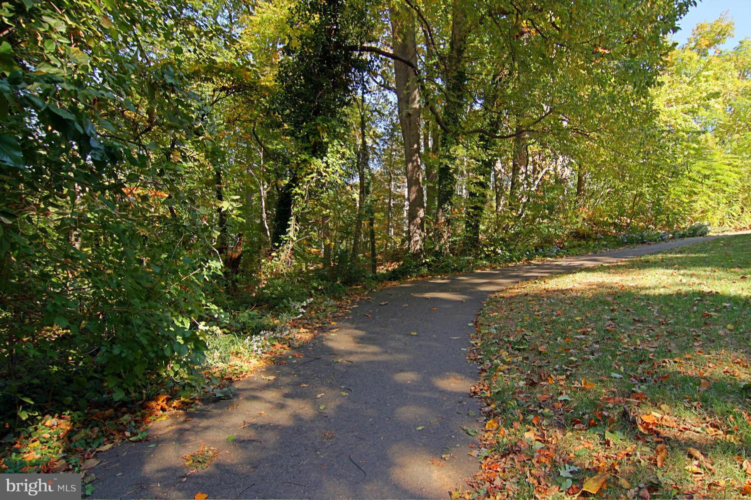 1906 North Rhodes Street, Unit 51 Arlington, VA 22201 - Photo 20 of 23 Community