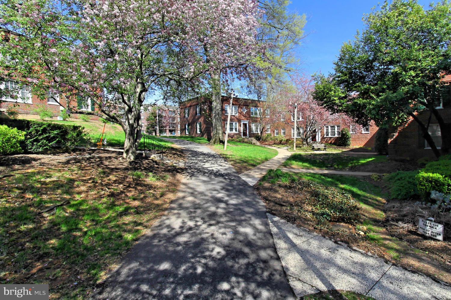 1906 North Rhodes Street, Unit 51 Arlington, VA 22201 - Photo 21 of 23 Community