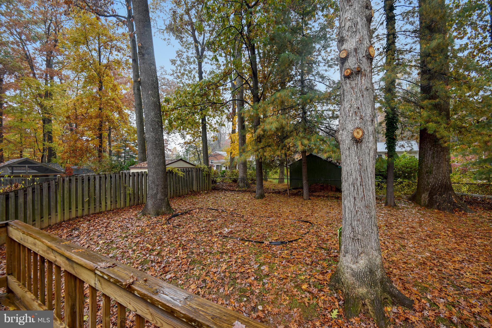 5729 Heming Avenue Springfield, VA 22151 - Photo 45 of 49 Private backyard with mature trees
