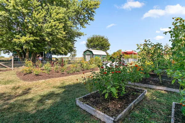 a view of a yard with plants