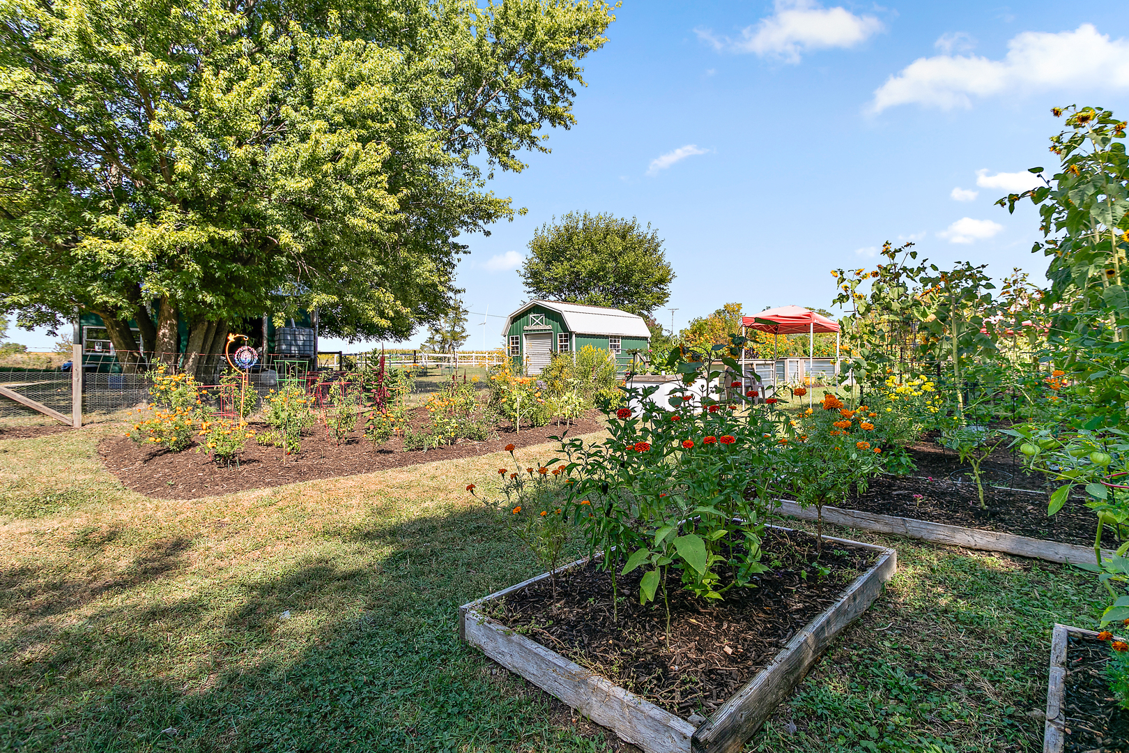 101 Sun Street, Unit A Cabery, IL 60919 - Photo 24 of 26 a view of a yard with plants