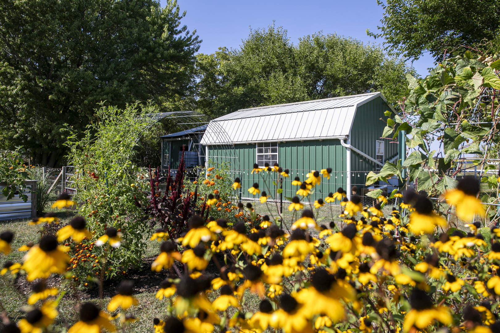 101 Sun Street, Unit A Cabery, IL 60919 - Photo 26 of 26
