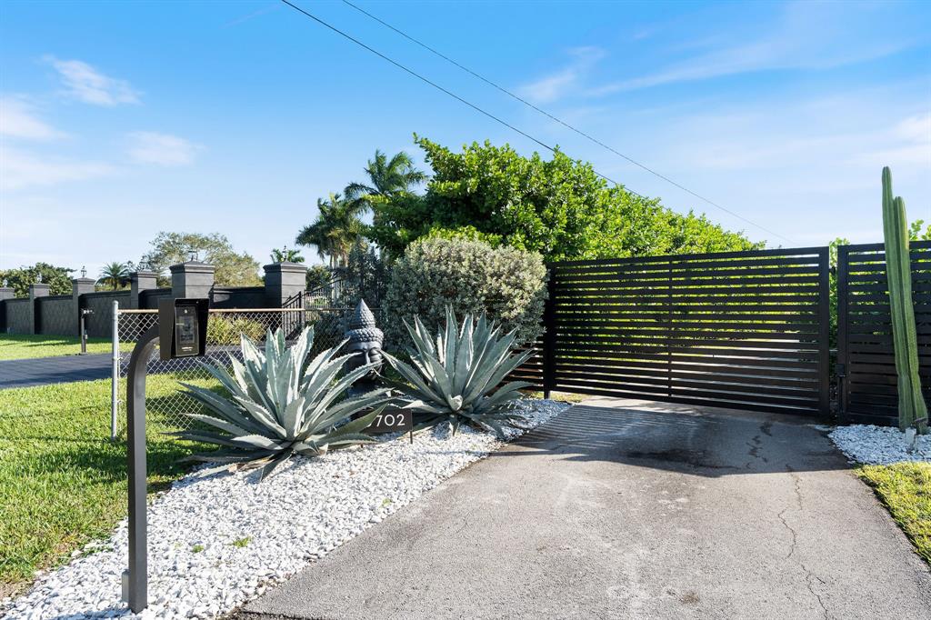 a view of a backyard with plants