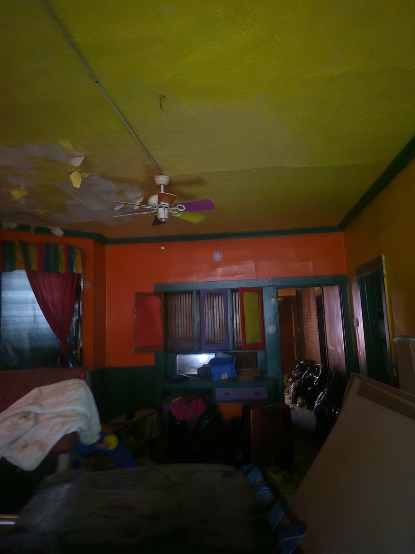 1010 North Ridgeway Avenue Chicago, IL 60651 - Photo 3 of 6 Gallery Image 3