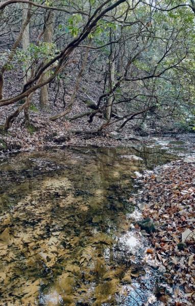 2197 Damascus Road Jasper, GA 30143 - Photo 6 of 39