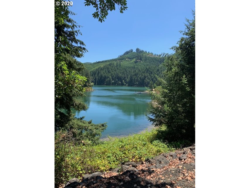 0 Ridge Water Drive Sutherlin, OR 97479 - Photo 1 of 12 Gallery Image 1