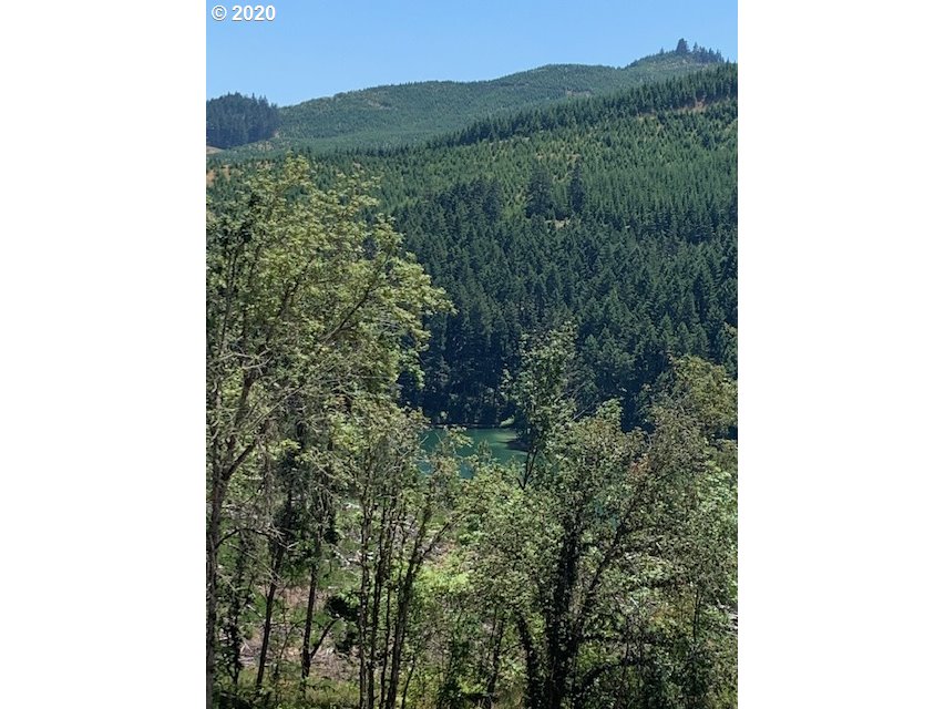 0 Ridge Water Drive Sutherlin, OR 97479 - Photo 6 of 12 Gallery Image 6