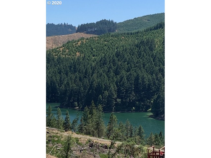 0 Ridge Water Drive Sutherlin, OR 97479 - Photo 7 of 12 Gallery Image 7
