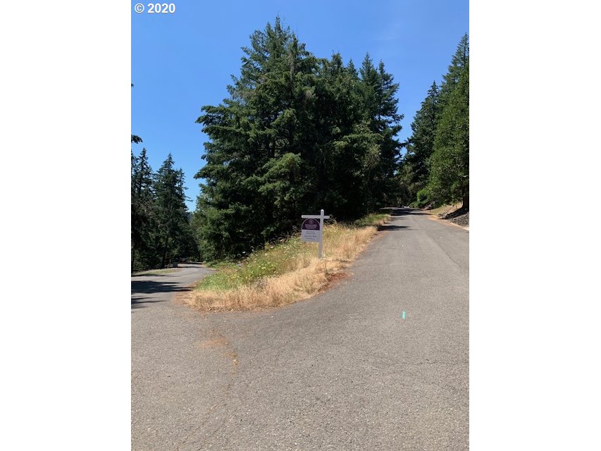 0 Ridge Water Drive Sutherlin, OR 97479 - Photo 10 of 12 Gallery Image 10