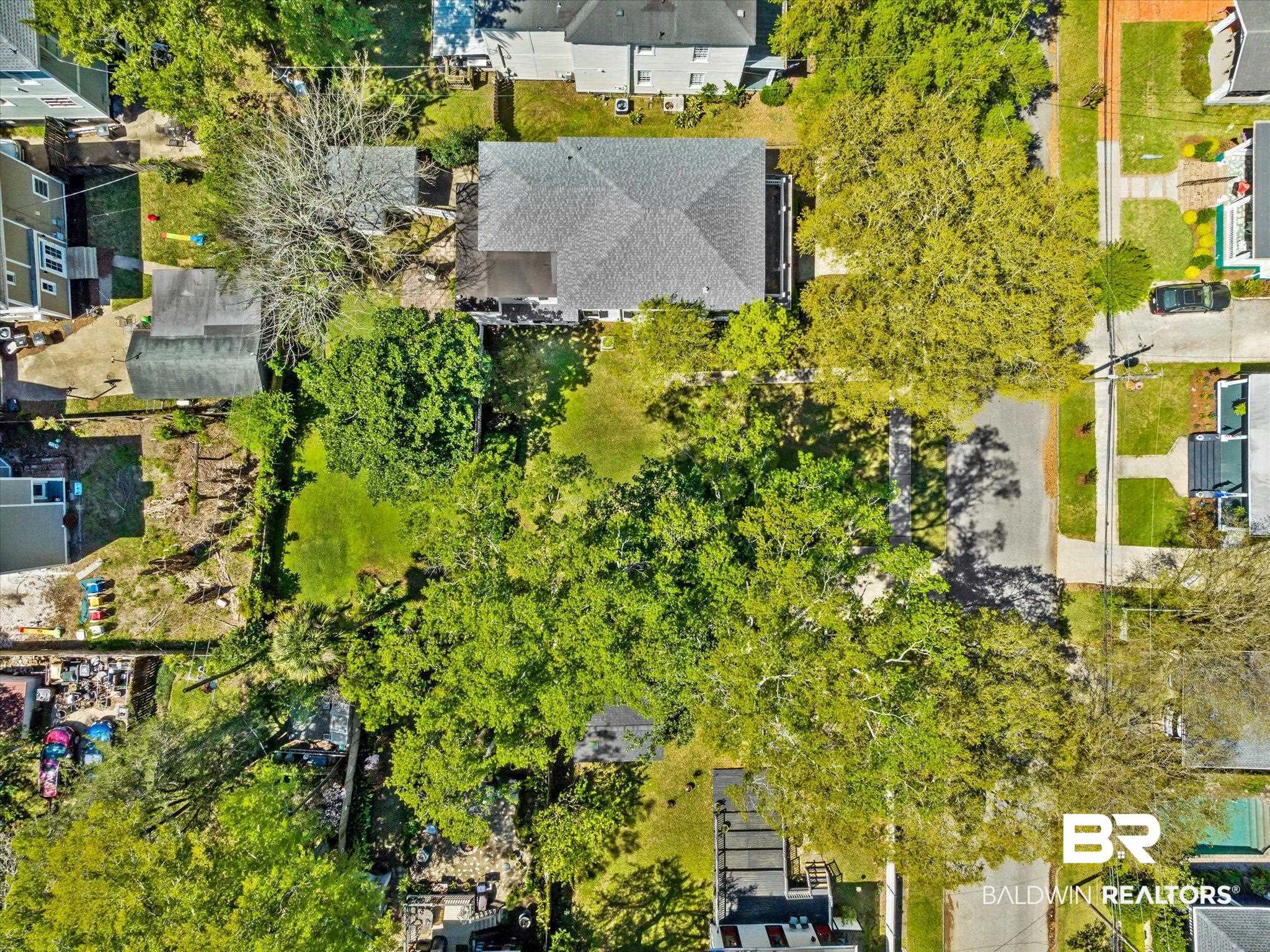 0 Palmetto Street Mobile, AL 36604 - Photo 3 of 18