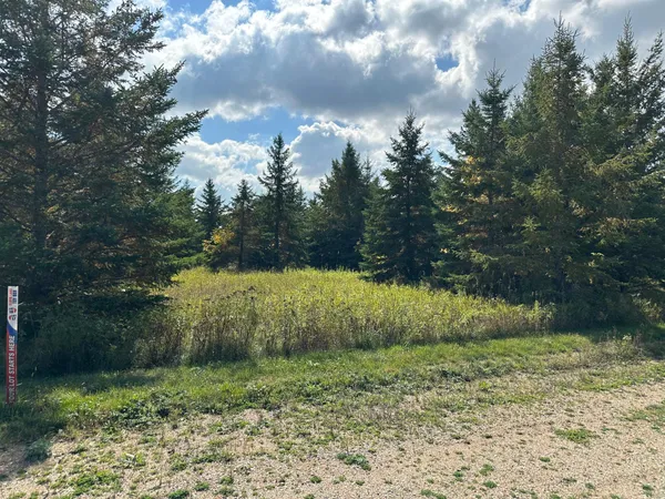 $35,000 | 26785 Lidstrom Road, Detroit Lakes, MN 56501