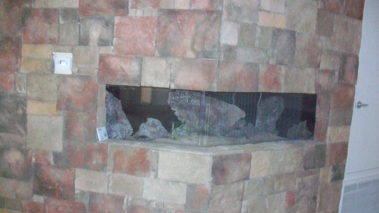 2056 West Dobbins Road Phoenix, AZ 85041 - Photo 6 of 12 d