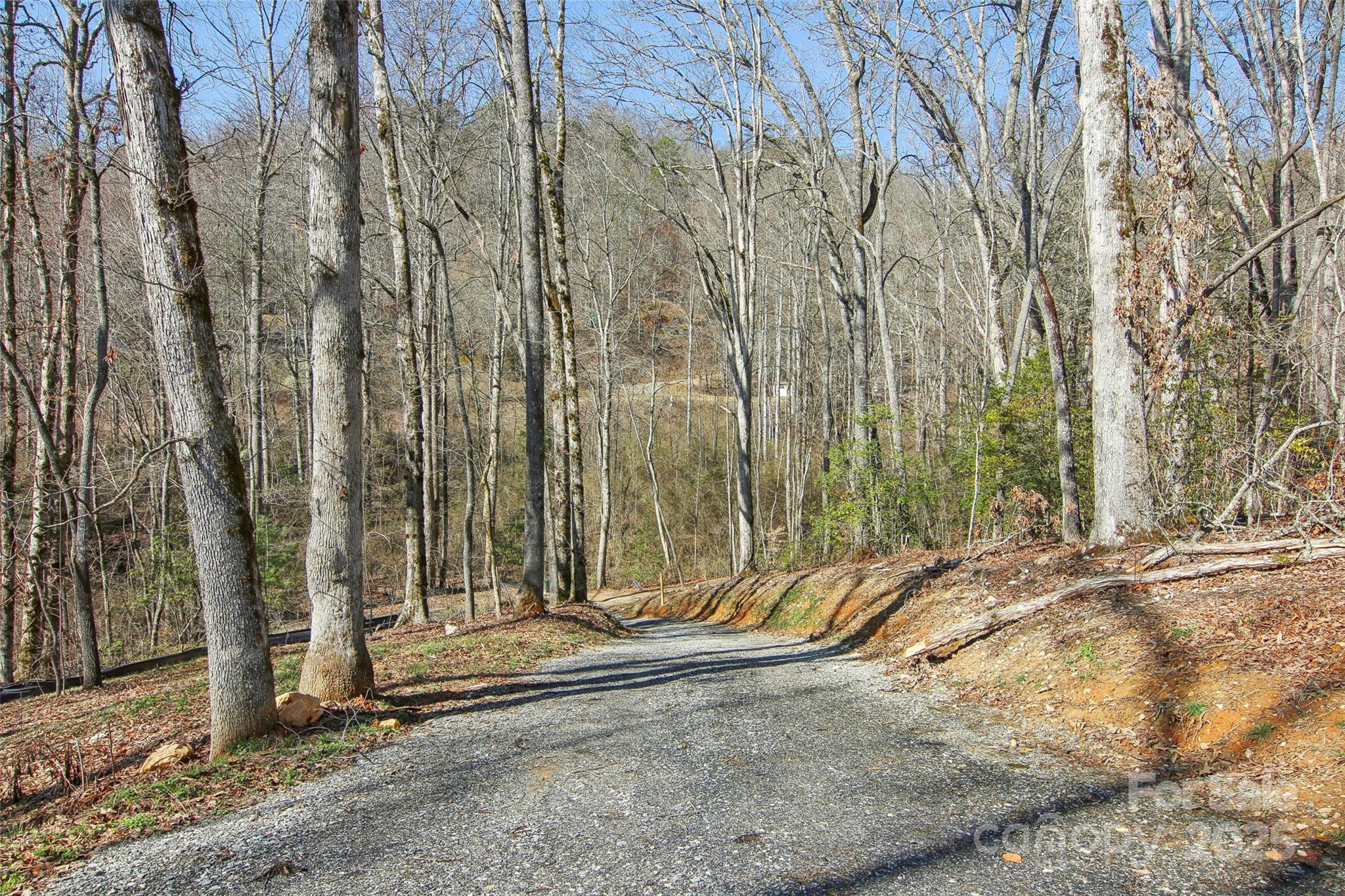 210 Oak Grove Road Bryson City, NC 28713 - Photo 3 of 44