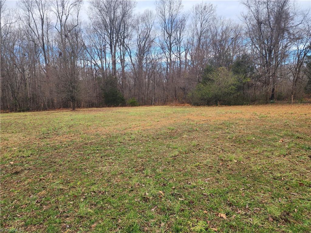 2060 Coltrane Mill Road Randleman, NC 27317 - Photo 39 of 46