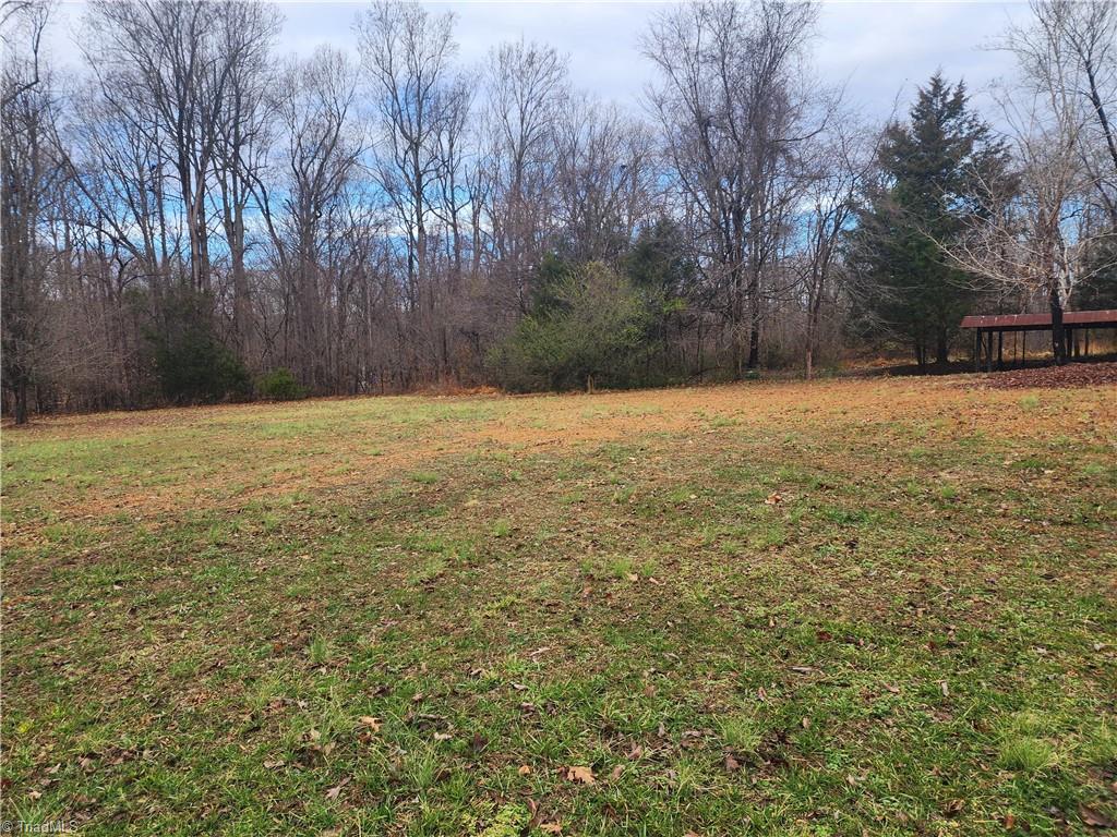 2060 Coltrane Mill Road Randleman, NC 27317 - Photo 40 of 46