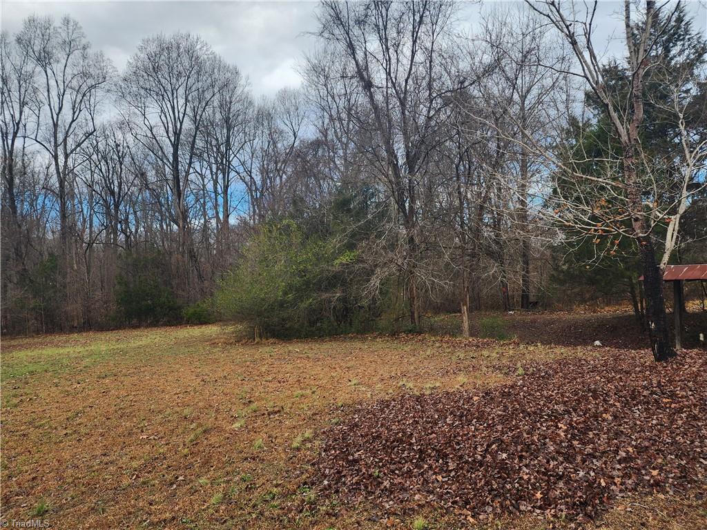 2060 Coltrane Mill Road Randleman, NC 27317 - Photo 41 of 46