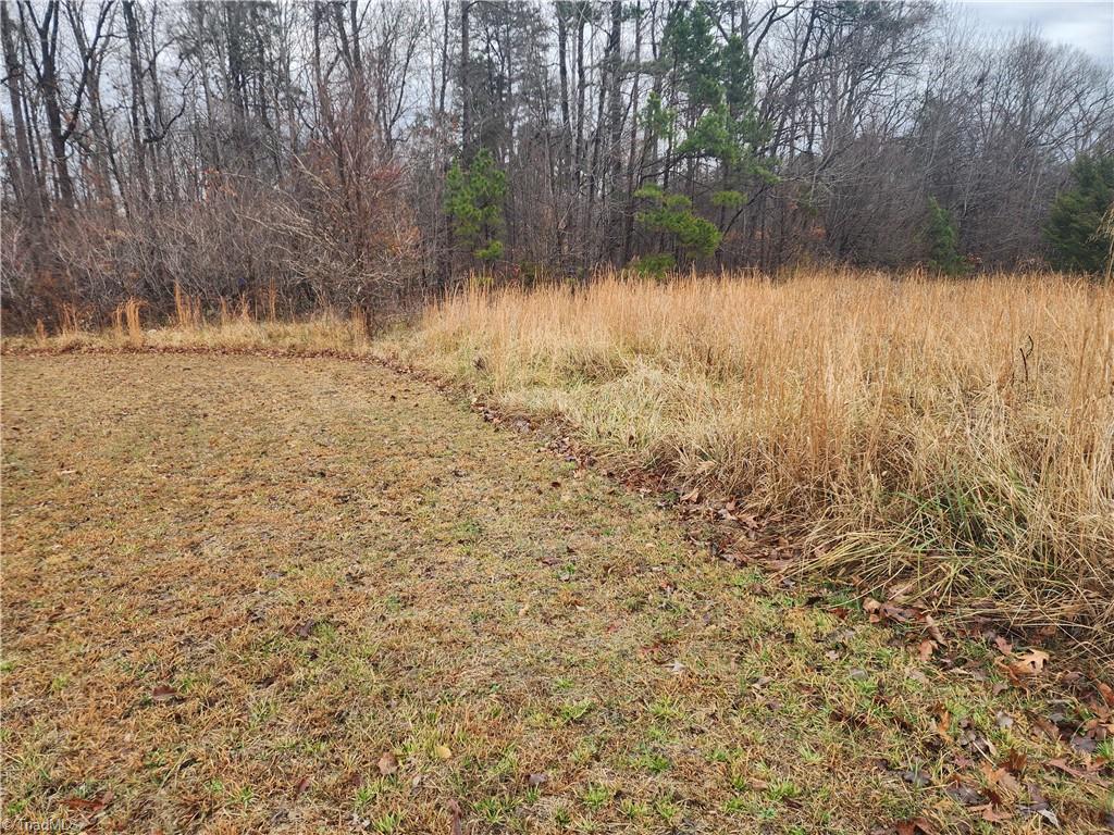 2060 Coltrane Mill Road Randleman, NC 27317 - Photo 43 of 46