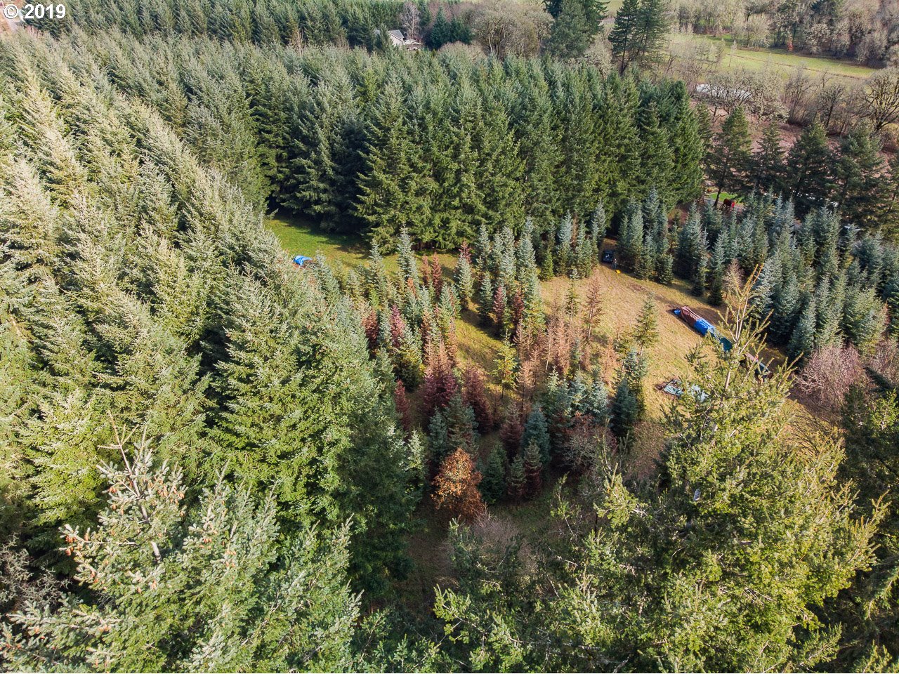 Farris Scio, OR 97374 - Photo 14 of 32 Gallery Image 14