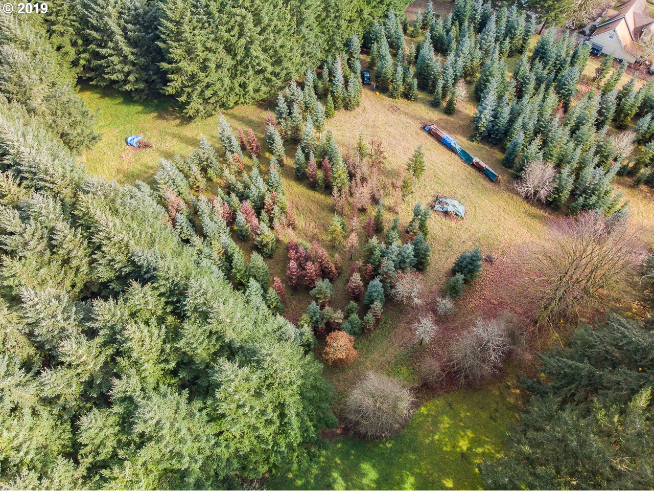 Farris Scio, OR 97374 - Photo 15 of 32 Gallery Image 15