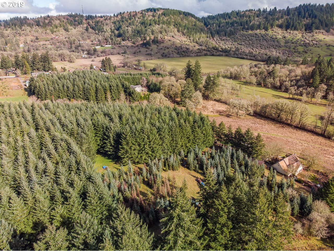 Farris Scio, OR 97374 - Photo 4 of 32 Gallery Image 4