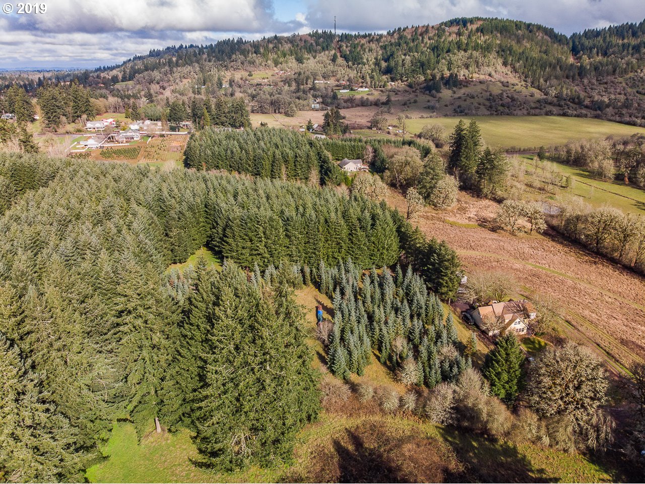 Farris Scio, OR 97374 - Photo 6 of 32 Gallery Image 6