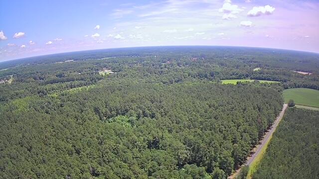 0 Nursery Road Reevesville, SC 29471 - Photo 8 of 11