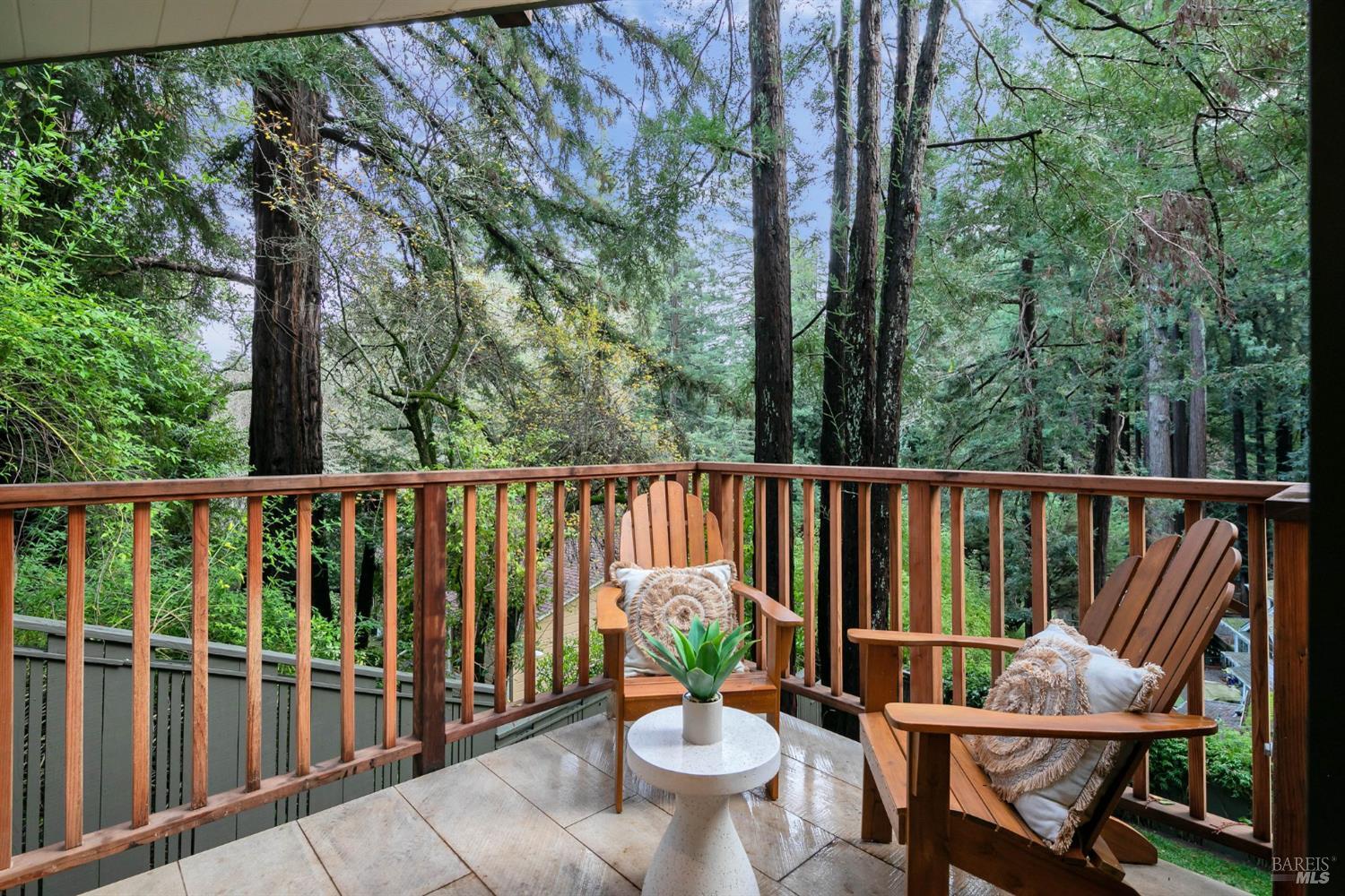 29 Millard Road Larkspur, CA 94939 - Photo 26 of 55
