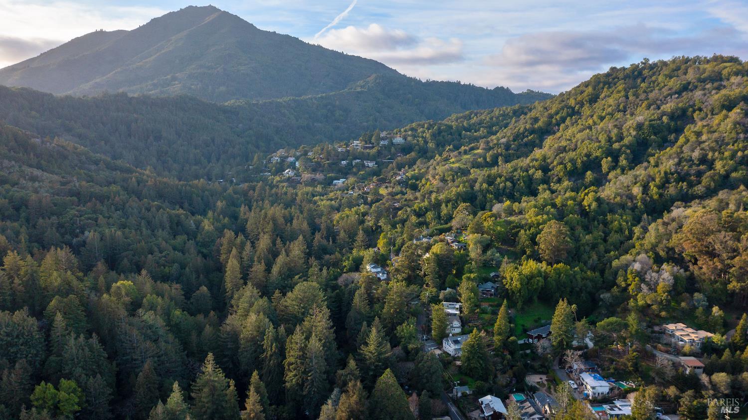 29 Millard Road Larkspur, CA 94939 - Photo 6 of 55