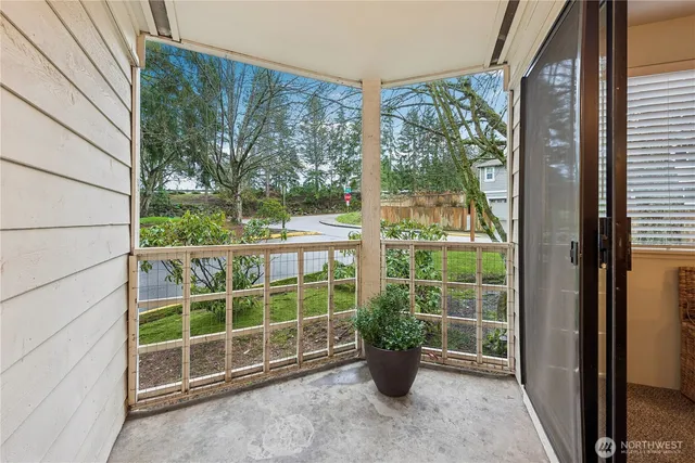 a view of a garden from a windows