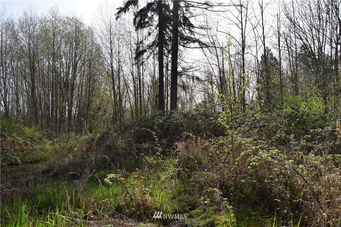 207-xx Filbert Road Bothell, WA 98012 - Photo 2 of 5
