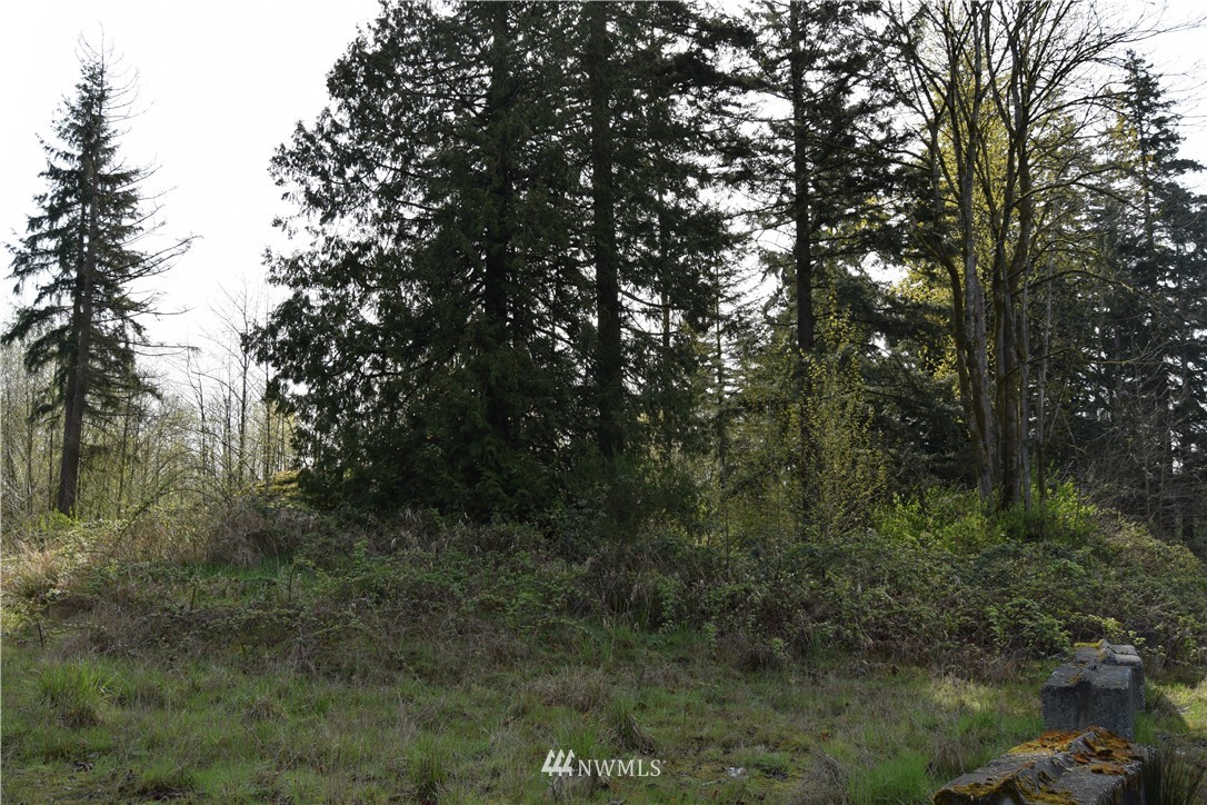 207-xx Filbert Road Bothell, WA 98012 - Photo 3 of 5