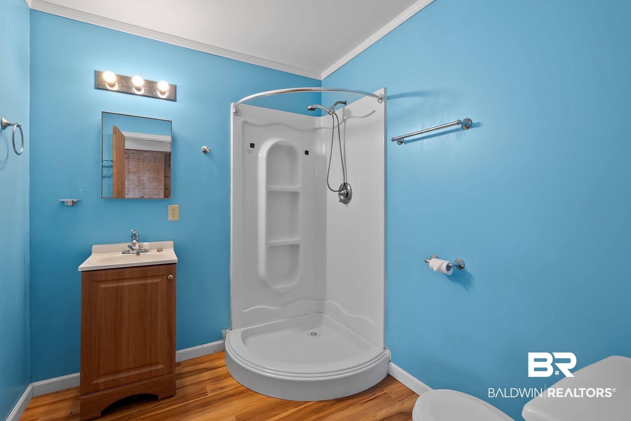 716 North Cedar Street Foley, AL 36535 - Photo 14 of 25 Bathroom featuring a curved shower stall, wood-finish flooring, a single vanity with a white countertop, and a wall-mounted medicine cabinet