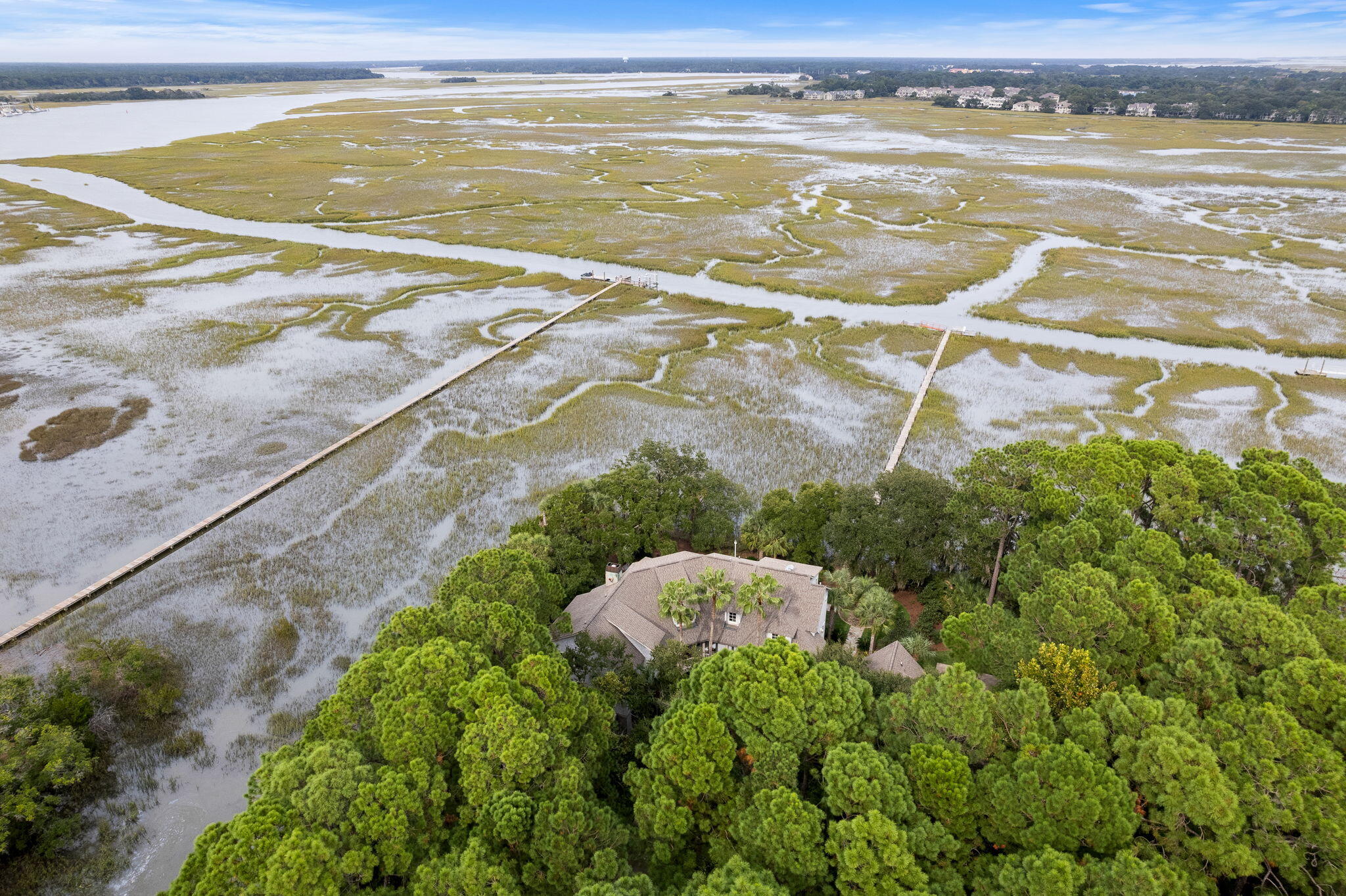 1030 Old Wharf Road Seabrook Island, SC 29455 - Photo 7 of 74 50-web-or-mls-Coastal RE Photo 1030 Old