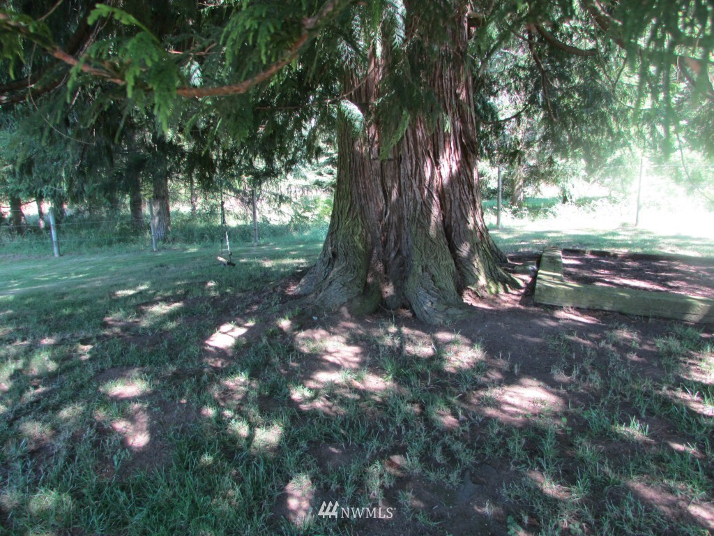 16015 Larson Loss Road Orting, WA 98360 - Photo 16 of 16 Gallery Image 16