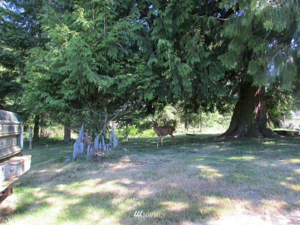16015 Larson Loss Road Orting, WA 98360 - Photo 6 of 16 Gallery Image 6