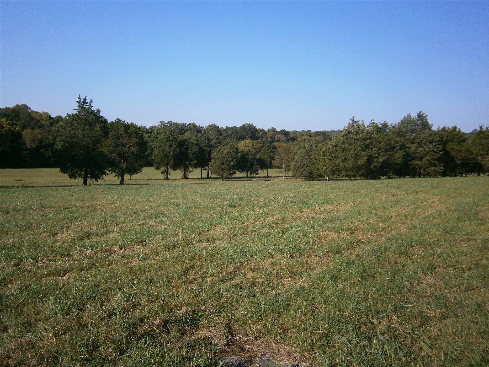 3 Sherrilltown Road Lebanon, TN 37090 - Photo 3 of 17 a view of outdoor space with city view