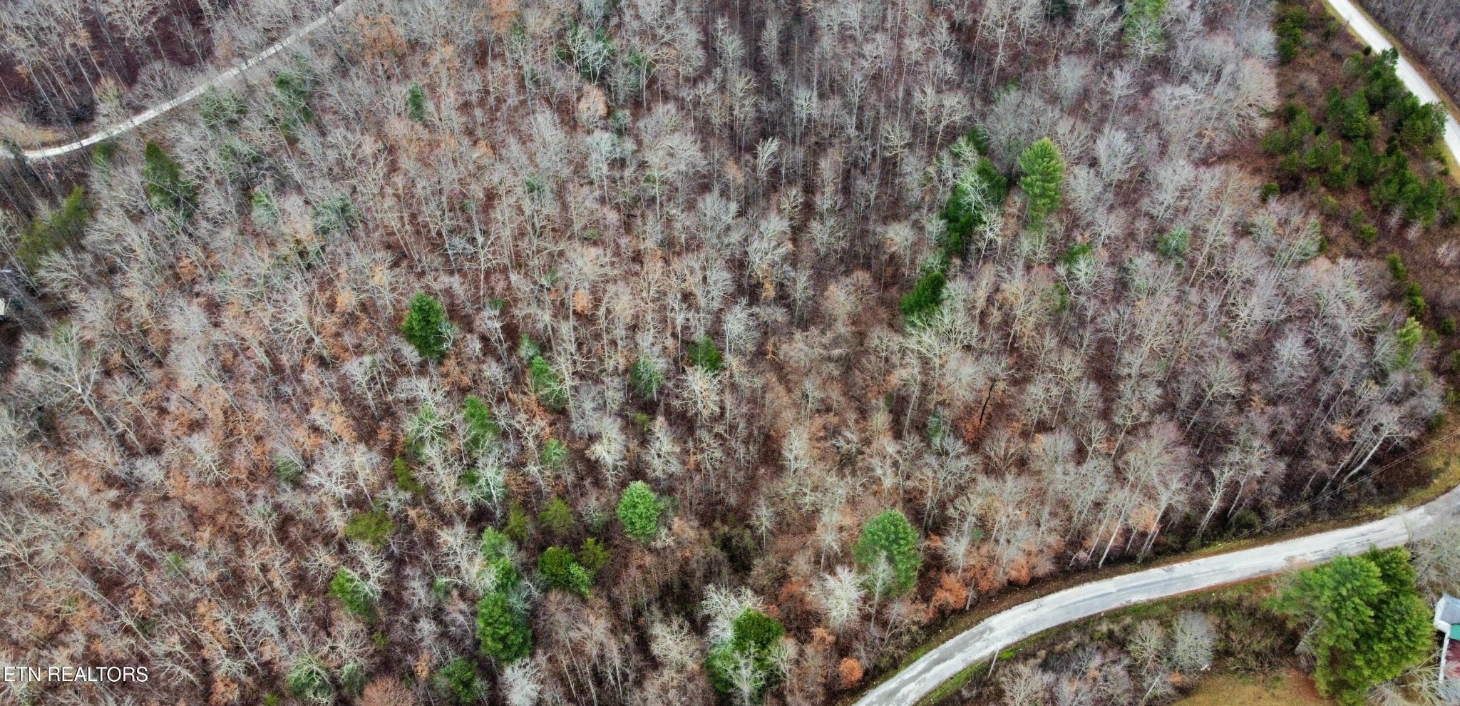 0 Rock House Road Pioneer, TN 37847 - Photo 4 of 14 Gallery Image 4