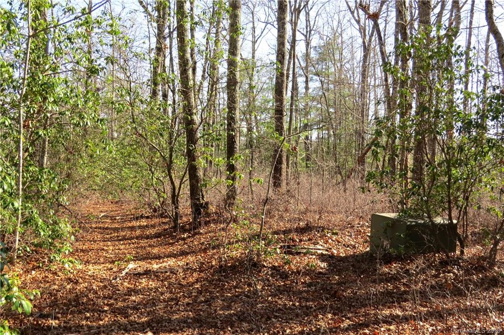 Tbd Ballard Road Brevard, NC 28712 - Photo 2 of 10 Gallery Image 2
