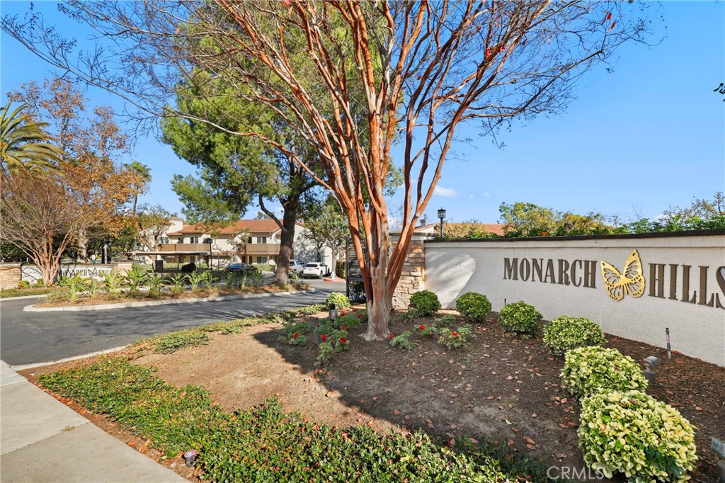 14 Corniche Drive, Unit A Dana Point, CA 92629 - Photo 31 of 49 a street view with large trees