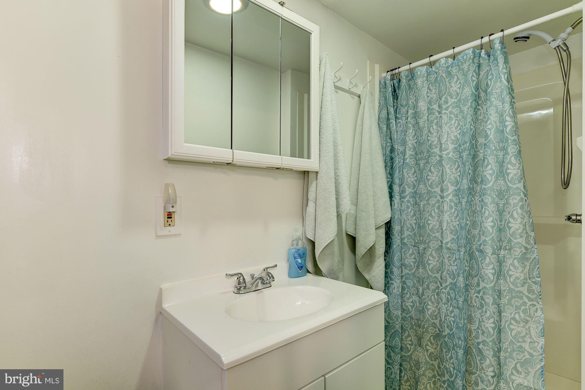 1500 Langford Road Baltimore, MD 21207 - Photo 26 of 30 Basement Bath lower level, walk in shower