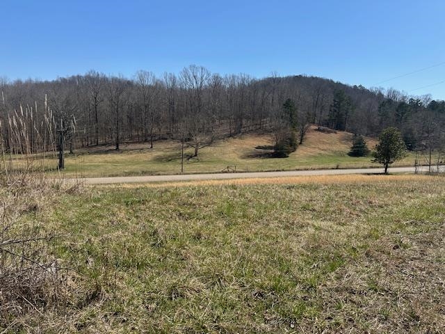 845 Streaming Water Loop Clifton, TN 38425 - Photo 1 of 14 Mountain view featuring a rural view and a view of trees