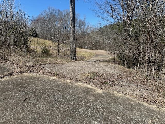 845 Streaming Water Loop Clifton, TN 38425 - Photo 12 of 14 View of road