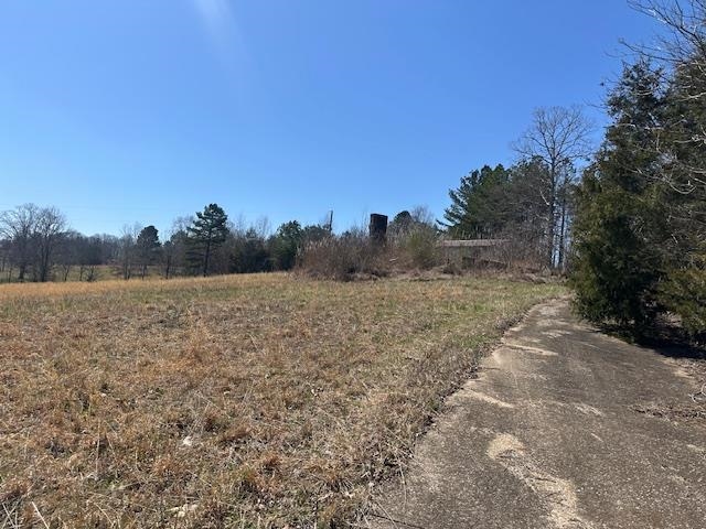 845 Streaming Water Loop Clifton, TN 38425 - Photo 14 of 14 View of yard with a rural view