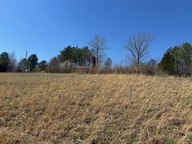 845 Streaming Water Loop Clifton, TN 38425 - Photo 2 of 14 View of nature featuring a rural view