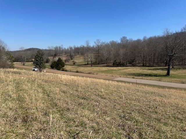 845 Streaming Water Loop Clifton, TN 38425 - Photo 3 of 14 View of nature with a rural view