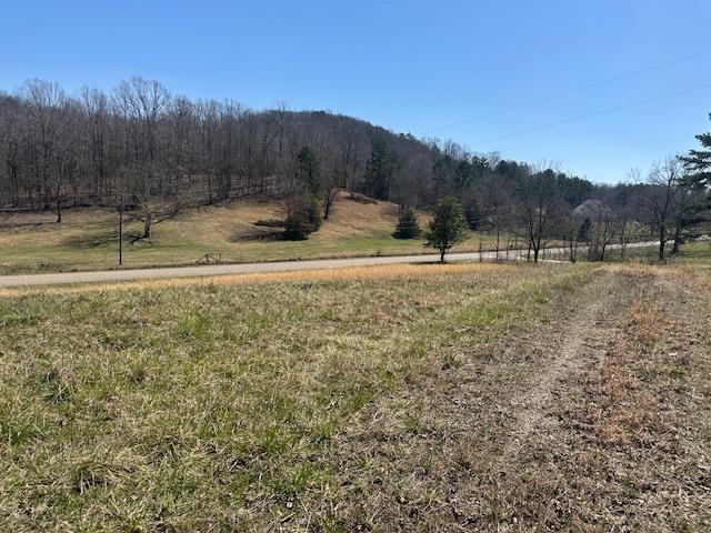 845 Streaming Water Loop Clifton, TN 38425 - Photo 5 of 14 View of yard featuring a view of trees and a rural view